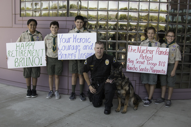 Meet K9 Bruno, the newest addition to LCSO