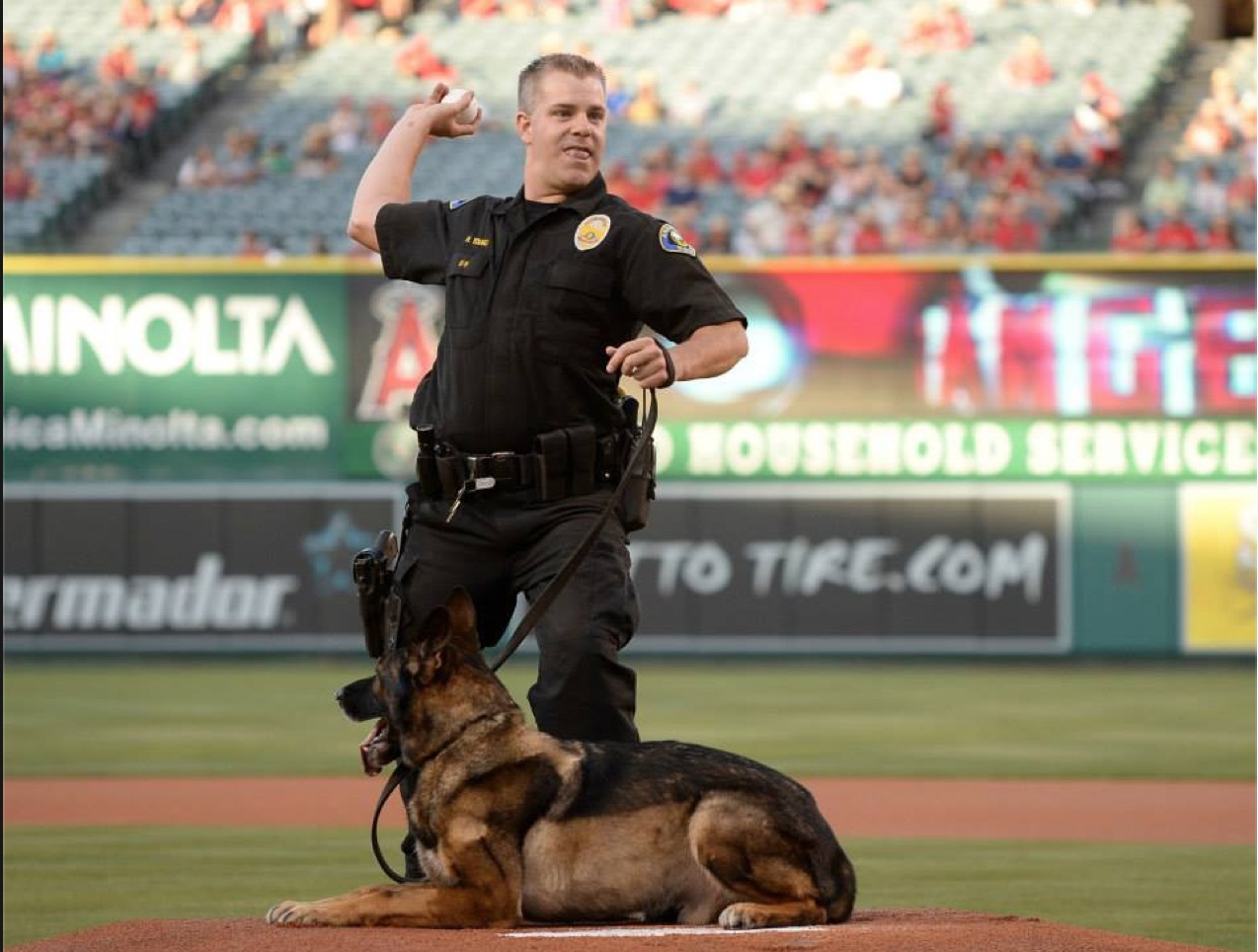 Bruno's last moments: Anaheim K9 hung on until his best friend could be by  his side - Behind the Badge