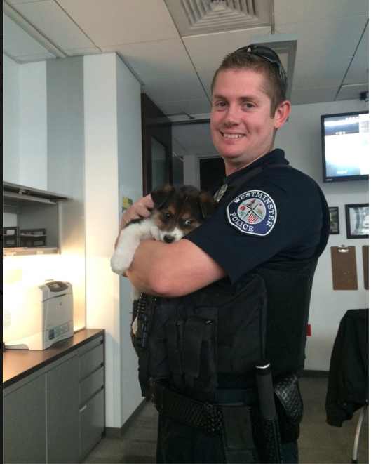 Officer Brian Marlow found Phoebe wandering Westminster streets and rescued her. 