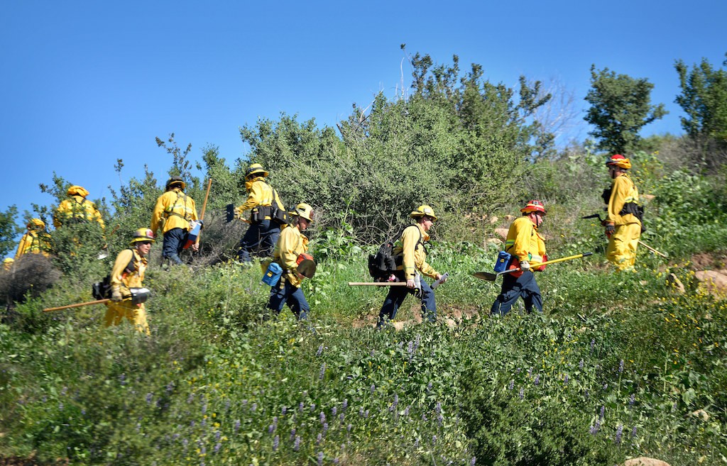 Firefighters from Anaheim, Garden Grove and Orange hike up a hill with full wildfire fighting gear during a wildfire training session at Santiago Oaks Regional Park. Photo by Steven Georges/Behind the Badge OC