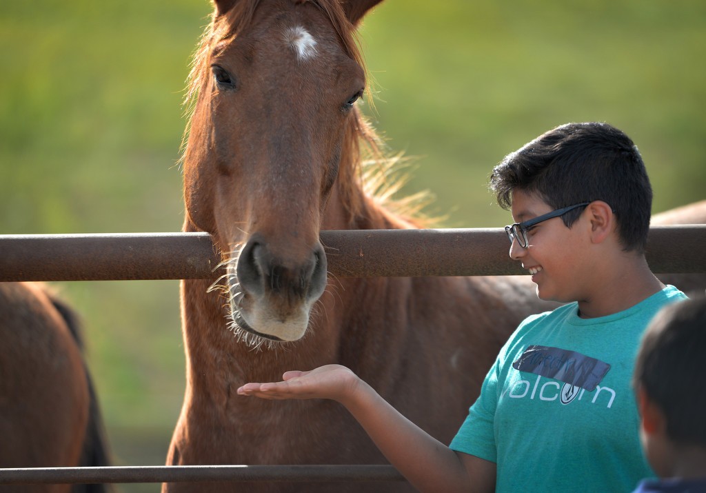 Eleven-year-old Lexis of Huntington Beach walks up to pet a horse at Huntington Central Park Equestrian Center. The afternoon is part of a 10-week program for students from Oak View Elementary School sponsored by the Huntington Beach PD and the Rainbow Environmental Services. Photo by Steven Georges/Behind the Badge OC