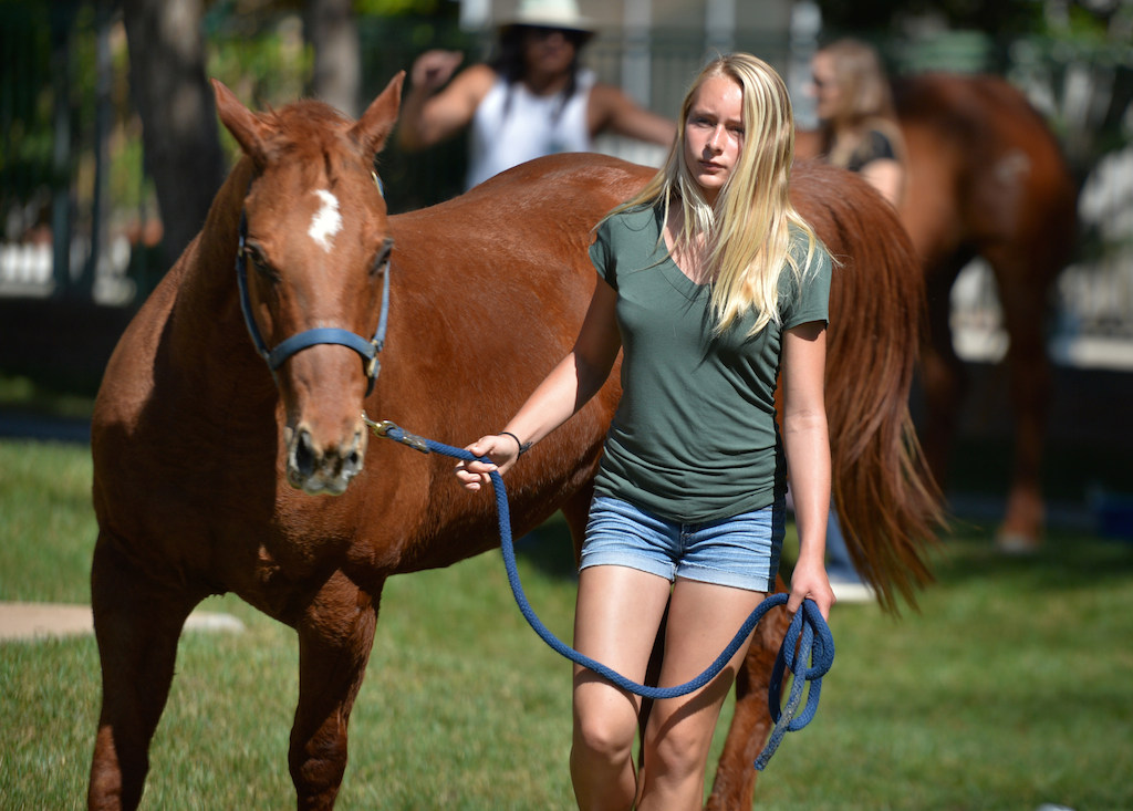 Anika Forde, 13, stays with her horse that was evacuated from the stables at Coyote Hills Ranch after a fire broke out in the area. Photo by Steven Georges/Behind the Badge OC