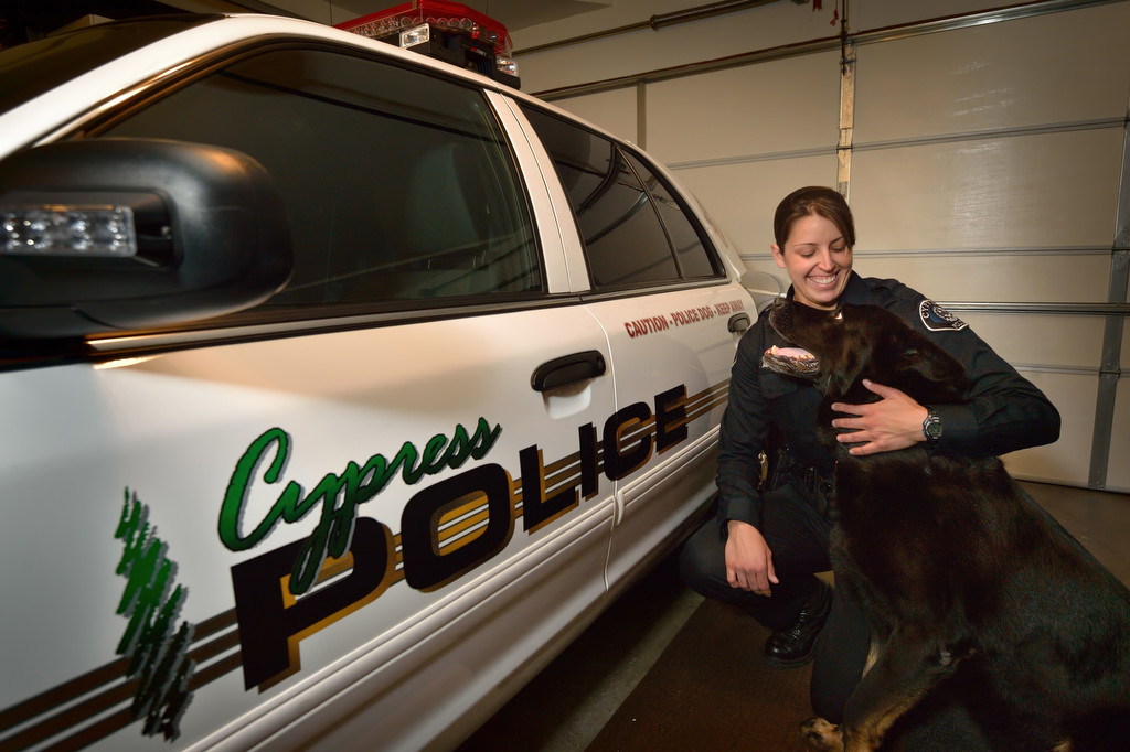 K-9 Officer Sem waits to get into the patrol car like he normally does as Cypress PD Officer Becky Mathias gets ready to leave for work without him. The German Shepherd was injured by a suspect during a pursuit and is now at home recovering. Photo by Steven Georges/Behind the Badge OC