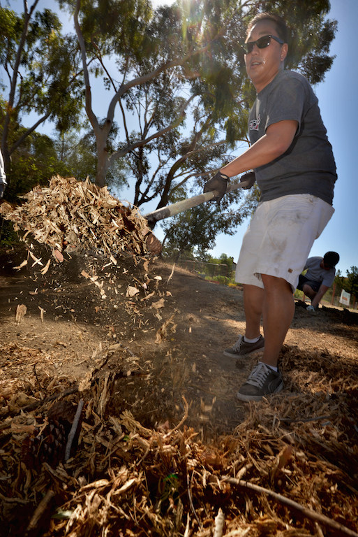 Fred Chun volunteers to help clear a lot next to Anaheim Fire Station 10 before installing a FireSafe and drought resistant demonstration garden. Photo by Steven Georges/Behind the Badge OC