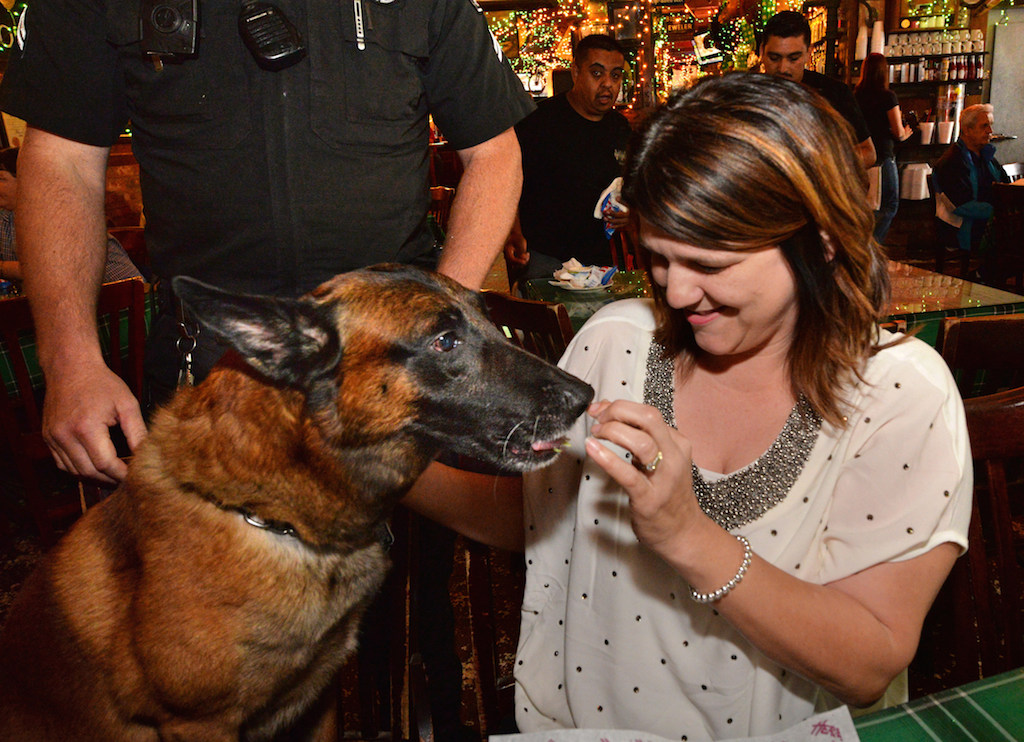 Debbye Viveros, a kindergarten teacher, gets to meet Fullerton PD K-9 Officer Mueller during at the Tip-A-Cop fundraiser at Heroes Bar and Grill. Viveros and her family donated the money for Fullerton PD to acquire and train Mueller. Photo by Steven Georges/Behind the Badge OC
