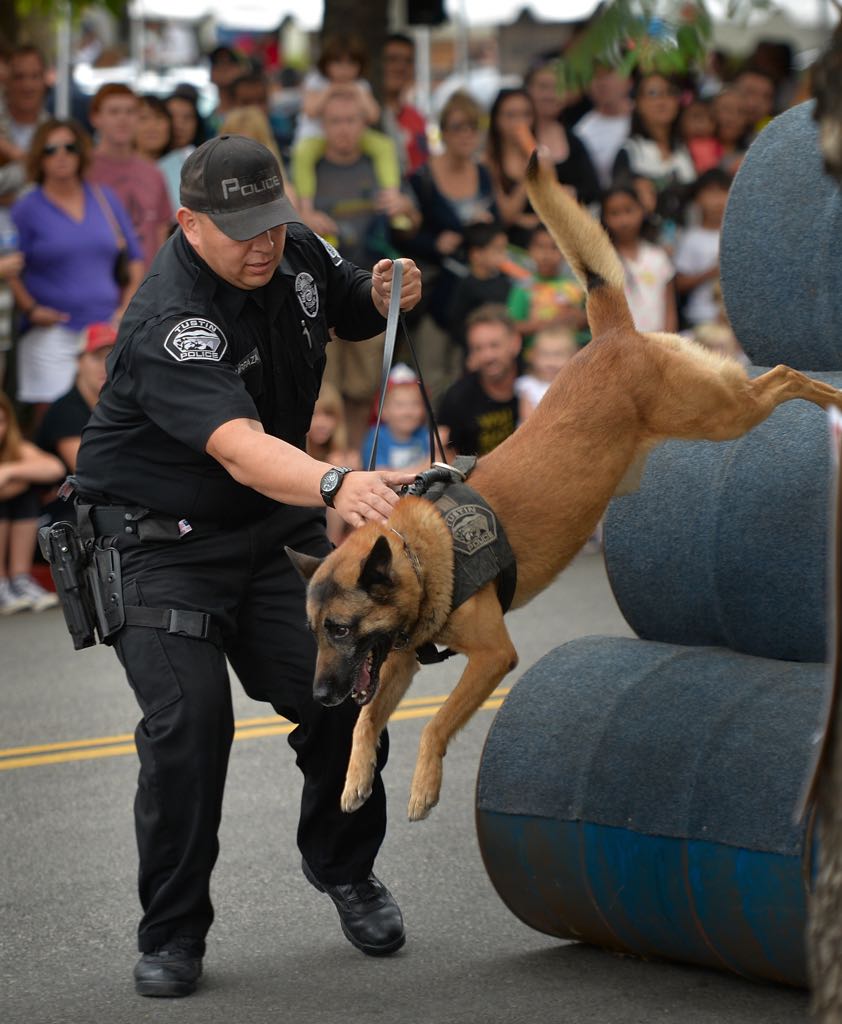 Officer Rene Barraza and his K-9 partner Bravo run through a obstacle course during Tustin PD’s 19th Annual Open House.  Photo by Steven Georges/Behind the Badge OC