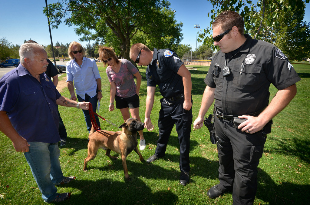 Patrick Beltz, chief instructor for Work Dogs International, left, takes Jobi out to greet the officers as they decide wether or not to procure him as a K-9 police dog for Fullerton. Officers include Fullerton Lt. Rhonda Cleggett, Garden Grove Corp. John Bankson and Fullerton Corp. Jonathan Miller. Photo by Steven Georges/Behind the Badge OC