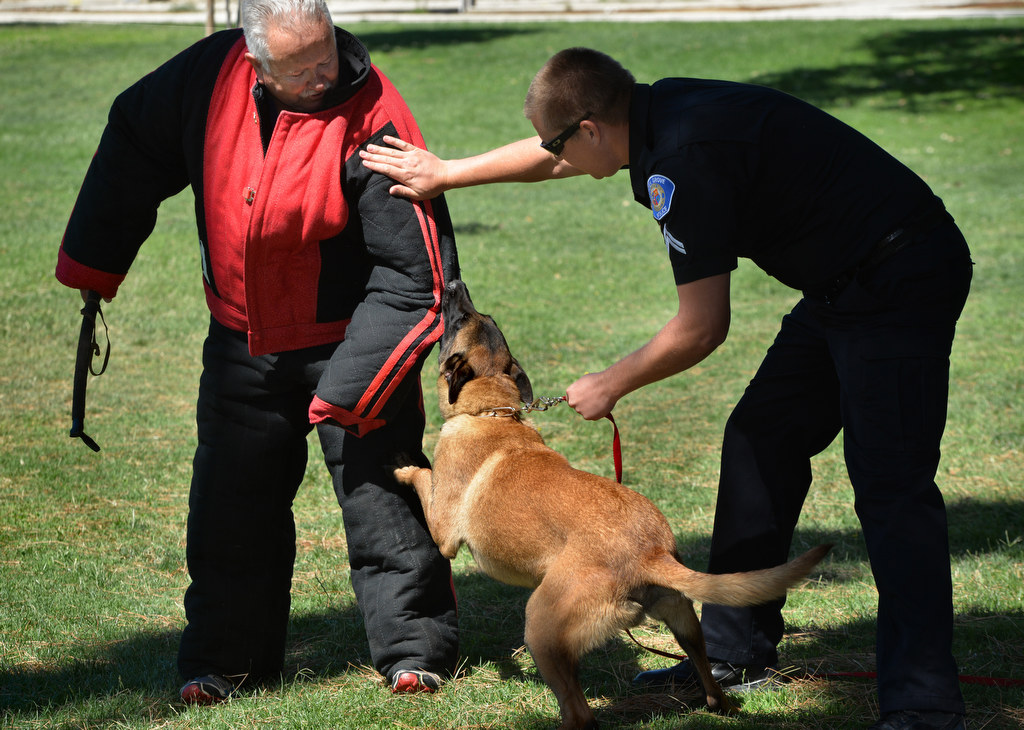 Garden Grove Corp. John Bankson, right, helps K-9 Instructor Patrick Beltz as the Fullerton Police Department decide wether or not to procure Jobi as their new K-9 police dog. Photo by Steven Georges/Behind the Badge OC