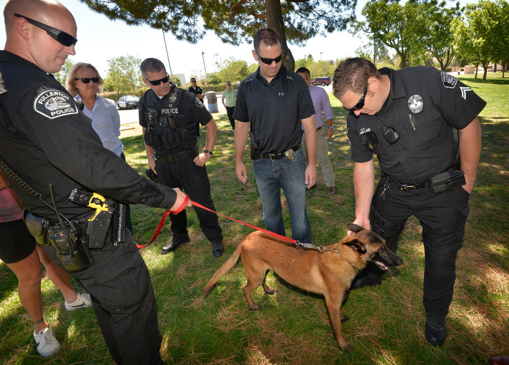 Fullerton Police Officer Scott Flynn, right, takes his new K-9 police partner Jobi to greet the other Fullerton PD officers, which include Officer Tim Haid, Sgt. John Ema and Corp. Jonathan Miller. Photo by Steven Georges/Behind the Badge OC