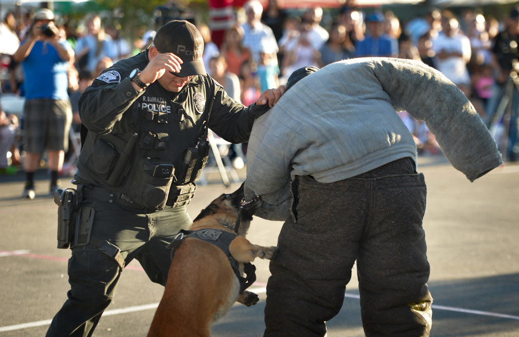 Tustin Officer Rene Barraza, left, gives the command to his K-9 partner Bravo to attack a “bad guy,” played by K-9 Officer Eric Kent during a Tustin Police K-9 demonstration for National Night Out. Photo by Steven Georges/Behind the Badge OC