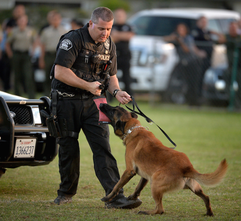 La Habra PD Officer Tim Haid works with his K-9 partner Rotor during the OCPCA’s 27th Annual Police K-9 Benefit Show at Glover Stadium in Anaheim. Photo by Steven Georges/Behind the Badge OC
