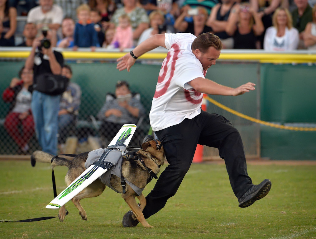 An officer posing as a bad guy runs during a Top Gun skit, part of the OCPCA’s 27th Annual Police K-9 Benefit Show at Glover Stadium in Anaheim. Photo by Steven Georges/Behind the Badge OC