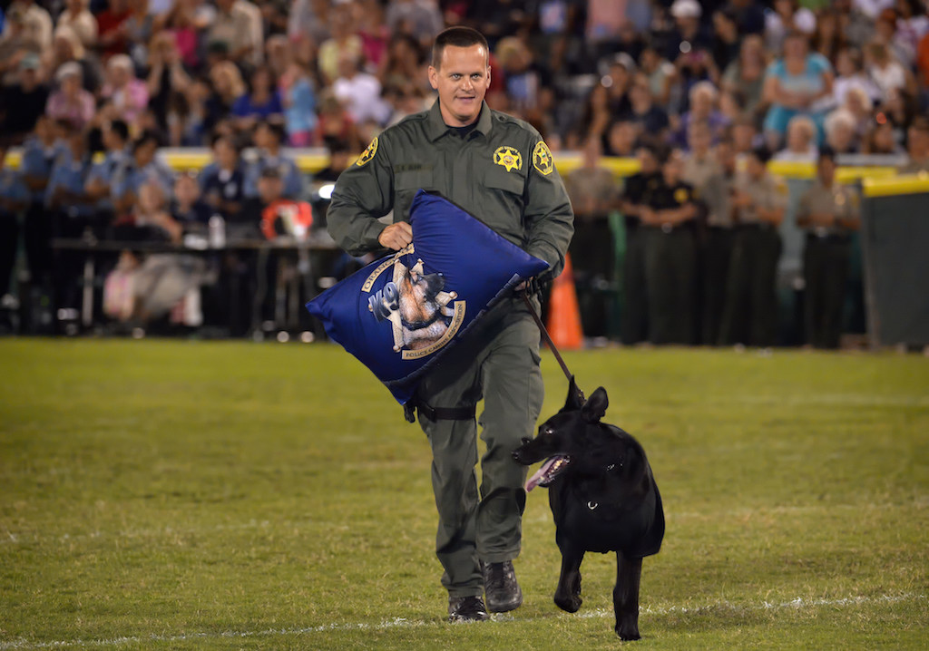Orange County Sheriff Deputy Ryan Buhr walks off the field with his K-9 partner xxx after winning the competition for the OCPCA’s 27th Annual Police K-9 Benefit Show in Anaheim. Photo by Steven Georges/Behind the Badge OC