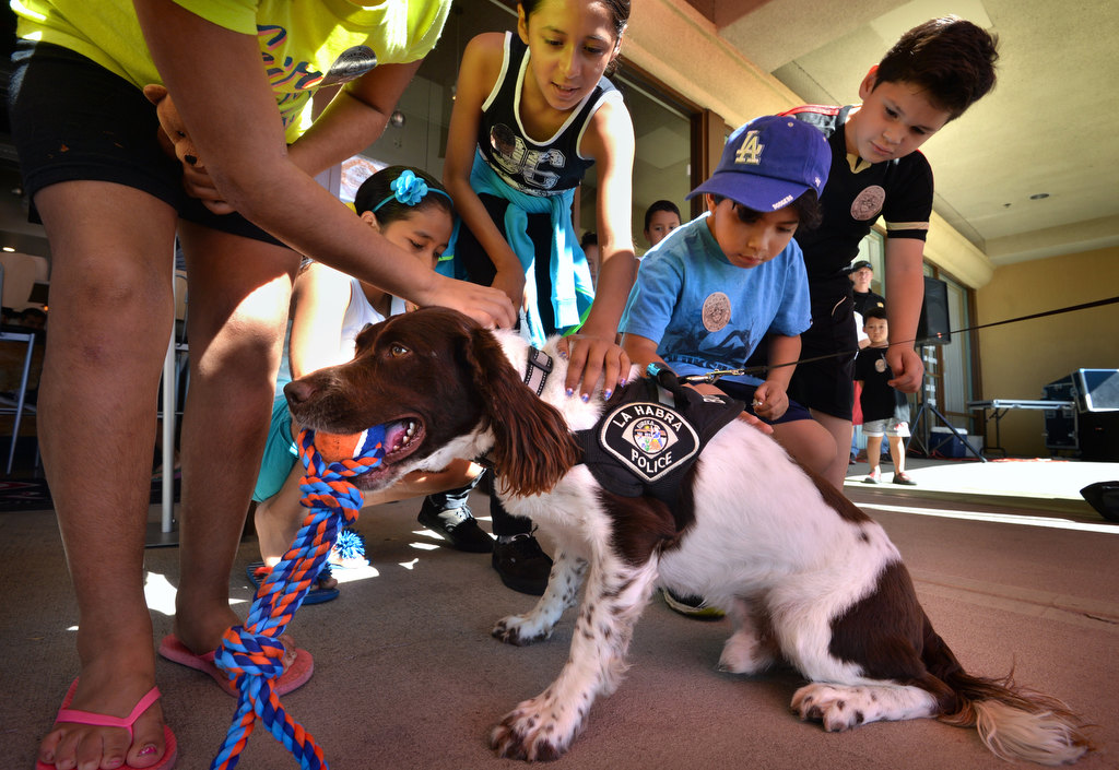 Kids reach in to pet Bobby, a 3-year-old drug-sniffing dog with the La Habra PD, as he holds onto his favorite chew toy. Kids twelve and under were also able to get a free kids pizza during the Pizza with a Police Pup event at Pizza Rev in La Habra. Photo by Steven Georges/Behind the Badge OC