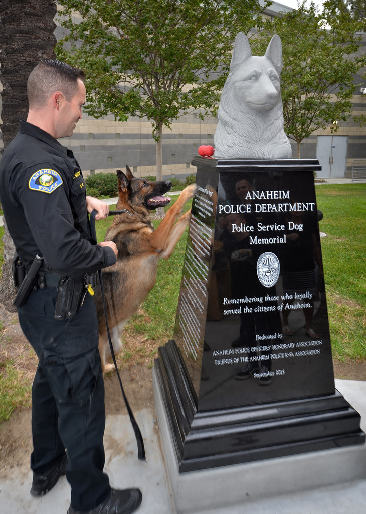 Anaheim PD Officer Matt Sutter plays with his K-9 partner Jager as he puts the dog toy on Anaheim PD’s new Police Service Dog Memorial at APD’s East Sub Station. Photo by Steven Georges/Behind the Badge OC