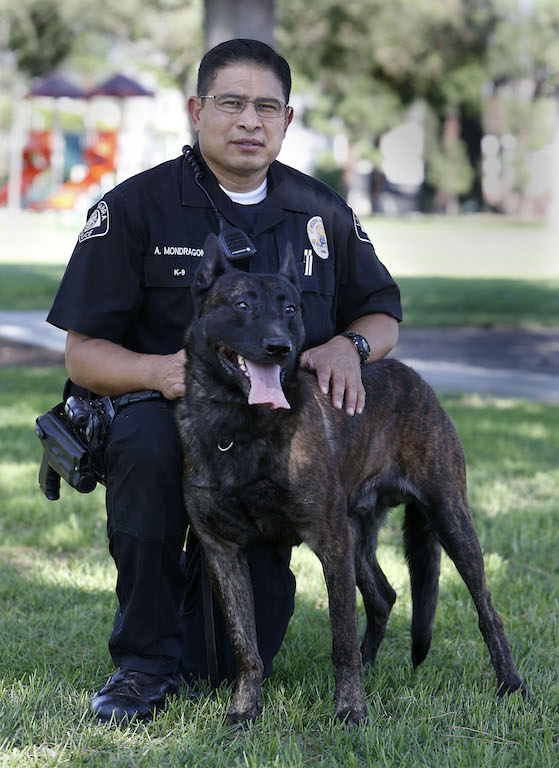 La Habra Police Officer Amsony Mondragon with his new K-9 partner Renzo.  Photo by Christine Cotter/Behind the Badge OC