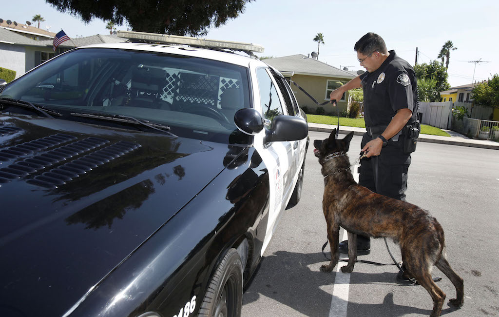 La Habra Police K-9 Officer Amsony Mondragon and K-9 partner get ready to head back to the station after a training demonstration.   Photo by Christine Cotter/Behind the Badge OC