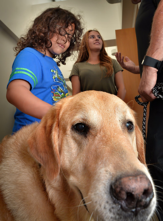 Six-year-old Rafael Olmedo pets Emerson, a crisis K-9 with the La Habra PD who was on hand to help support people who may be going through difficult issues and feelings dealing with their missing loved ones during the Identify the Missing Orange County 2015. Rafael’s sister Krystelle Borja is behind him. Photo by Steven Georges/Behind the Badge OC