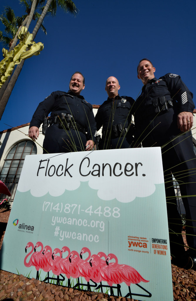 Capt. Scott Rudisil of the Fullerton PD, left, Chief Dan Hughes and Captain John Siko stand in front of a Flock Cancer sign and a yard full of pink flamingos in front of the Fullerton PD. The campaign is sponsored in part by the North Orange County YWCA and Alinea Medical Imaging. Photo by Steven Georges/Behind the Badge OC