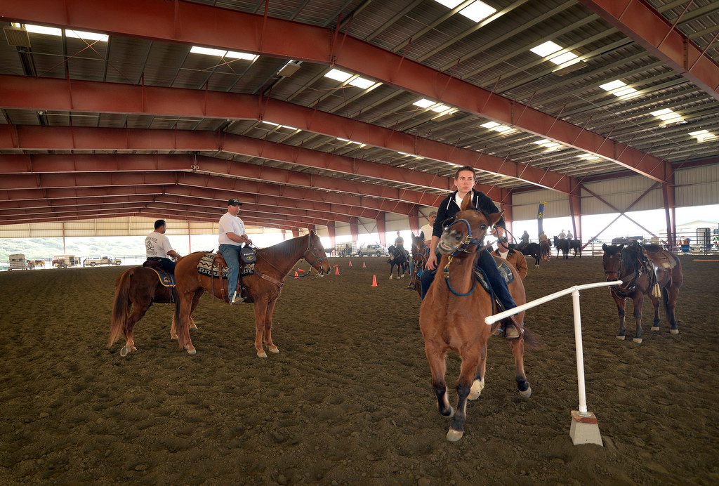Anaheim Mounted Police take their horses through sensory training by having them move through objects at the George Ingalls Equestrian Event Center in Norco. Photo by Steven Georges/Behind the Badge OC
