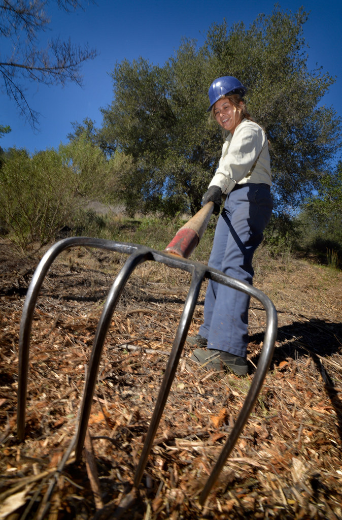 OCCC's Oneyda Ventura of Santa Ana (22) clears brush and spreads wood chips that is aesthetically pleasing & keeps the weeds from growing along the road at Deer Canyon Park. Photo by Steven Georges/Behind the Badge OC