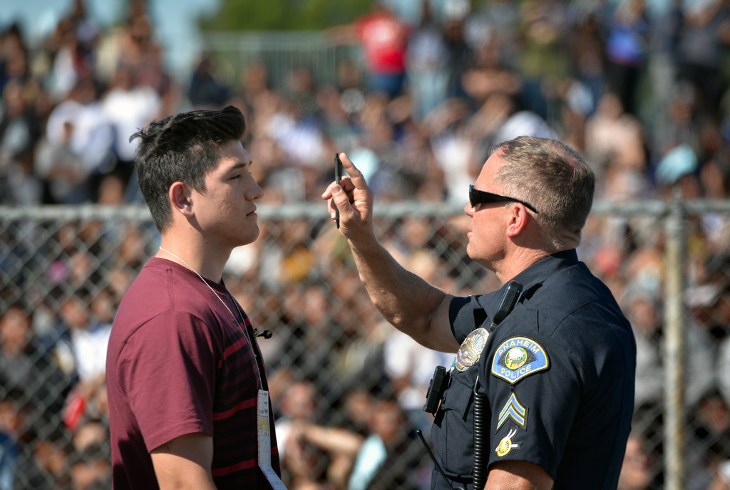 Anaheim Police Officer S. Anderson gives a student, playing the part of the driver of a staged drunk driving accident, a sobriety test in front of students of Anaheim High School. Photo by Steven Georges/Behind the Badge OC