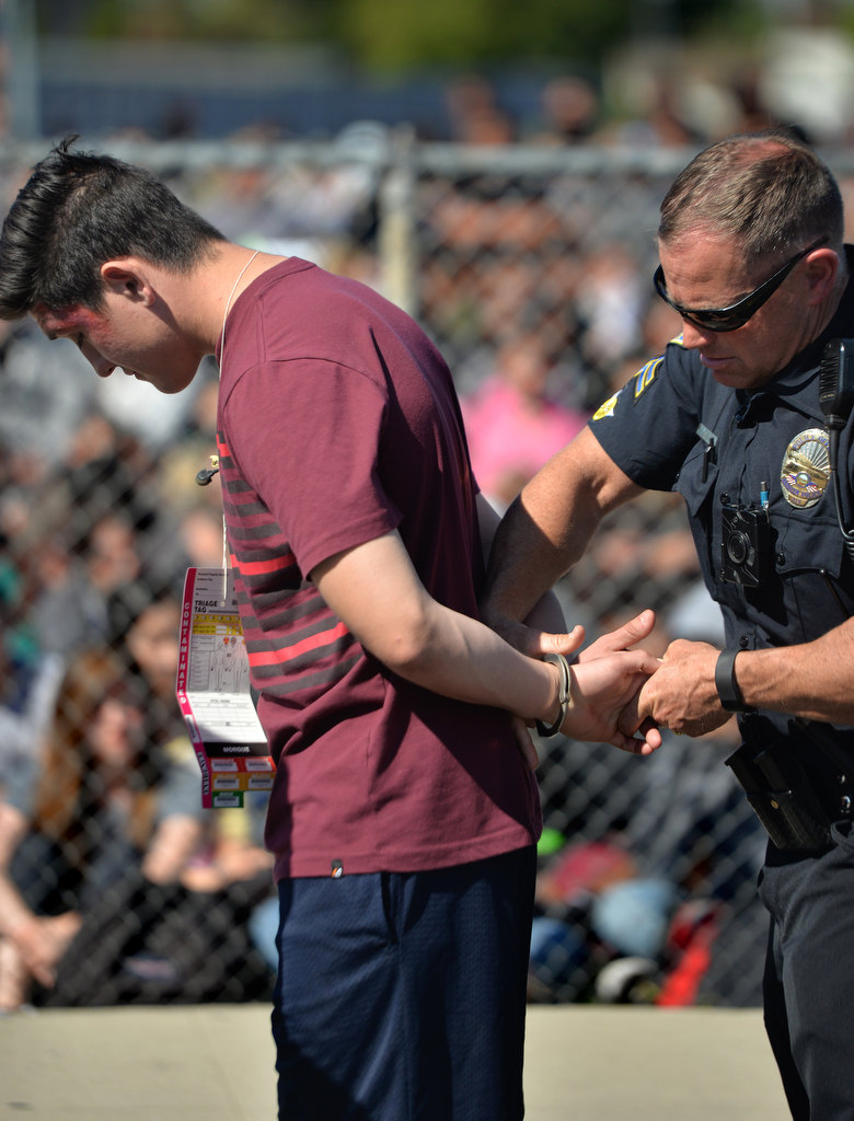 Anaheim Police Officer S. Anderson places a student, who is playing the part of a driver of a staged drunk driving accident, under arrest in front of students of Anaheim High School. Photo by Steven Georges/Behind the Badge OC
