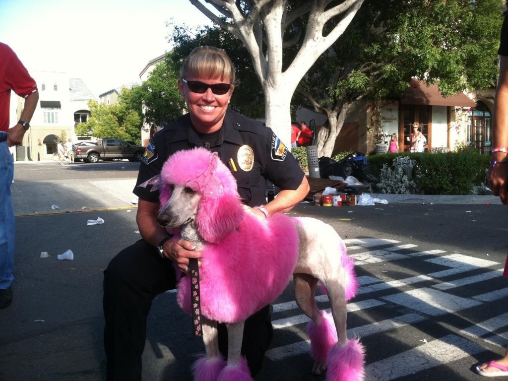 Tustin PD Det. Pam Hardacre is known around the department for her love of the color pink, so it's only natural that this photo serves as her screen saver. Photo courtesy Pam Hardacre. 
