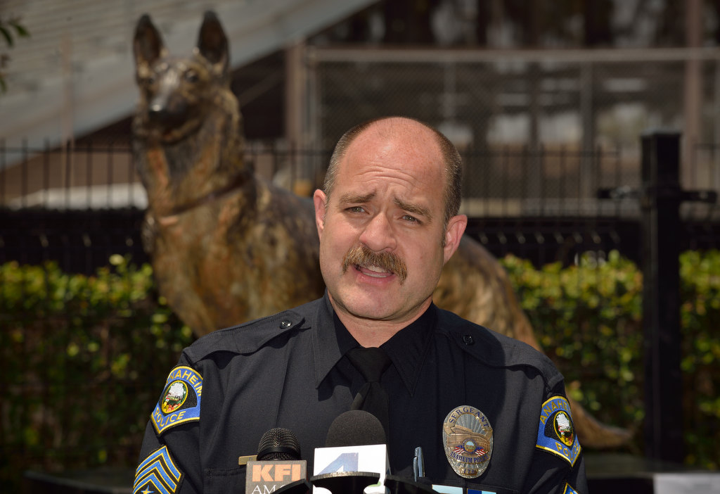 Bruno's last moments: Anaheim K9 hung on until his best friend could be by  his side - Behind the Badge