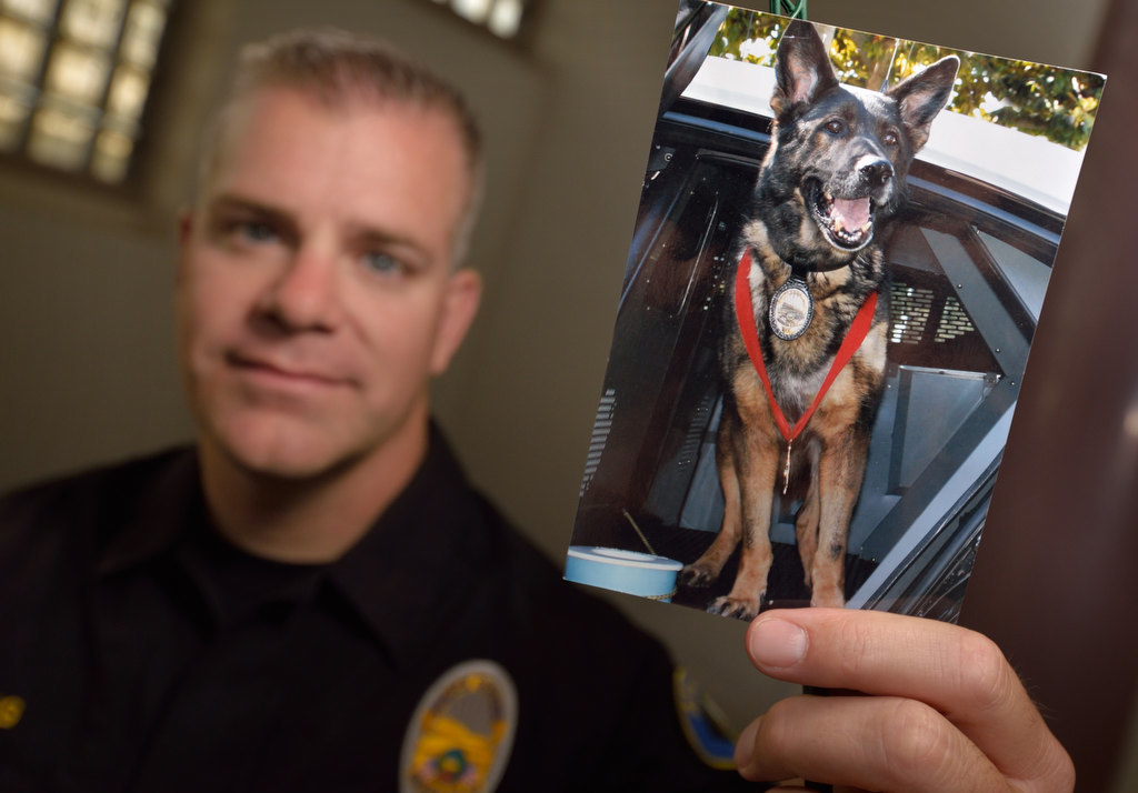 Bruno's last moments: Anaheim K9 hung on until his best friend could be by  his side - Behind the Badge