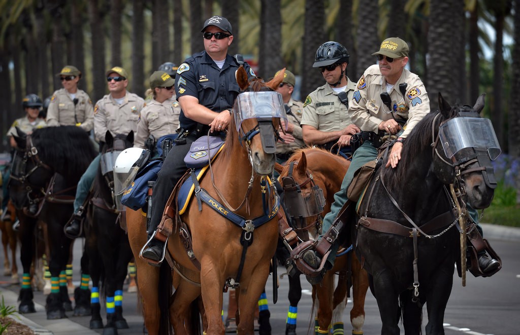 Anaheim PD Officer Nichols of the Anaheim Police Mounted Unit, front center, rides with other agencies, including LA County Sherif and Ventura County Sherif departments, as they stand by in front of the Anaheim Convention Center during a Donald Trump rally protest. Their horses are equipped with riot gear to protect their eyes and nose. Photo by Steven Georges/Behind the Badge OC