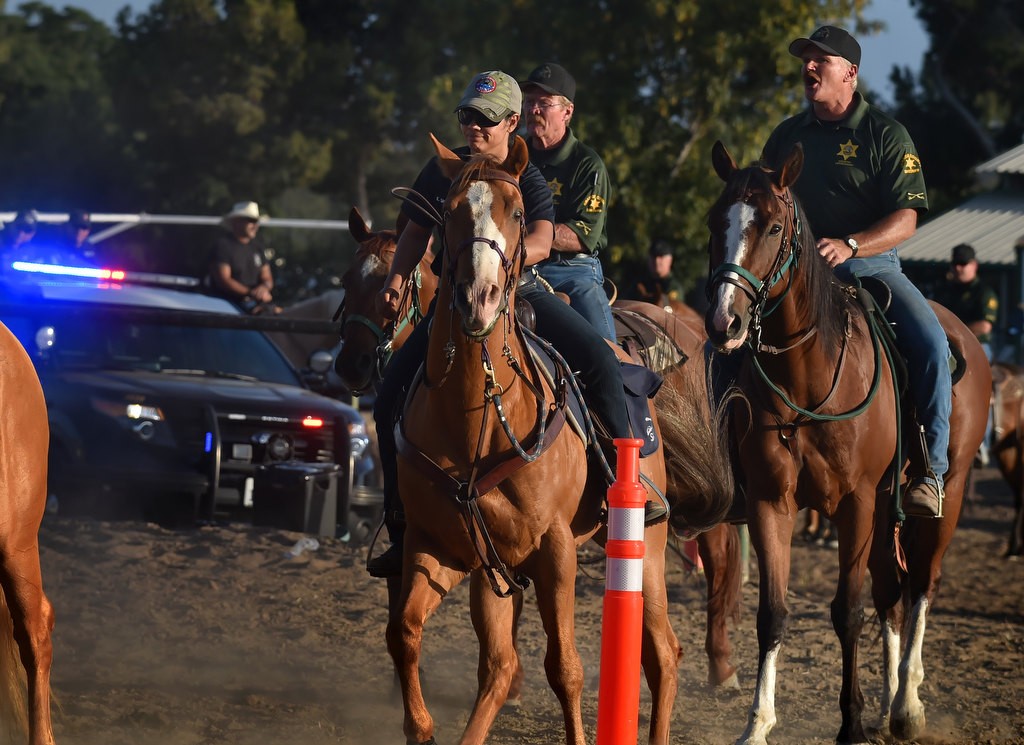 Orange County Sheriff deputies from the Mounted Enforcement Unit run through training exercises including a simulated protest at the James A. Musick Facility in Irvine Photo by Steven Georges/Behind the Badge OC