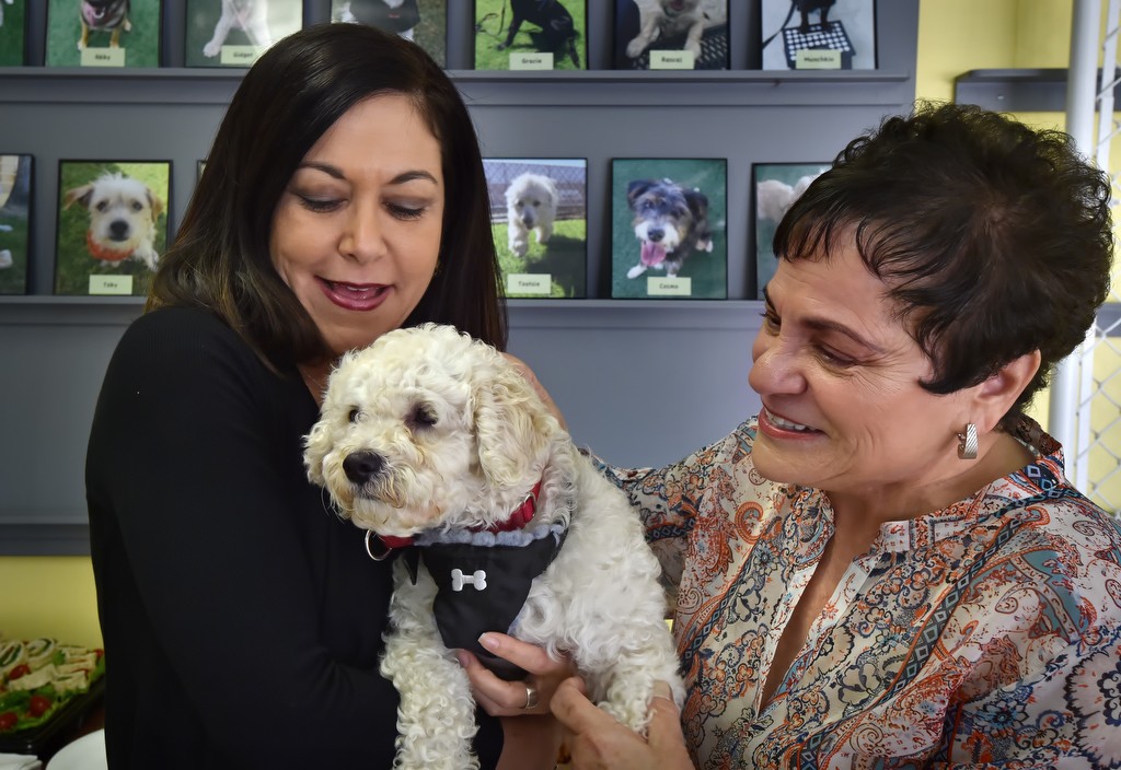 Margo Gillman of Tustin, left, and her mother Bonnie Gillman get ready to take Carson, a 4-year-old poodle mix, home after Carson’s graduation from the COLLAR (Canines Offering Life Lessons And Rewards) program. Photo by Steven Georges/Behind the Badge OC