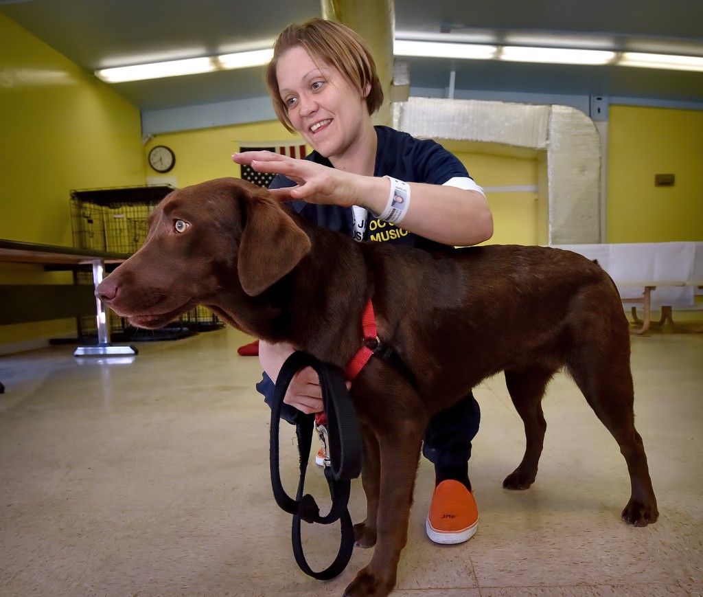 Genevieve Sinkwich, an inmate in the James A. Musick Facility, says goodbye to Blossom, a Chocolate Lab that she has been training and living with for the past two and a half months as part of the COLLAR (Canines Offering Life Lessons And Rewards) program and Pathways to Hope, Cell Dogs Training Program. Photo by Steven Georges/Behind the Badge OC