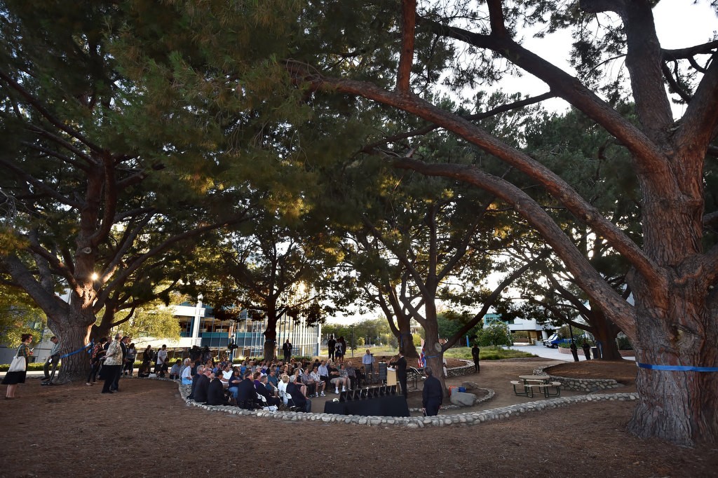 Seven stone pine trees that were planted two years after the Cal State Fullerton massacre for the seven that were killed that day, surround Memorial Grove where the 40th anniversary remembrance ceremony was held. Photo by Steven Georges/Behind the Badge OC