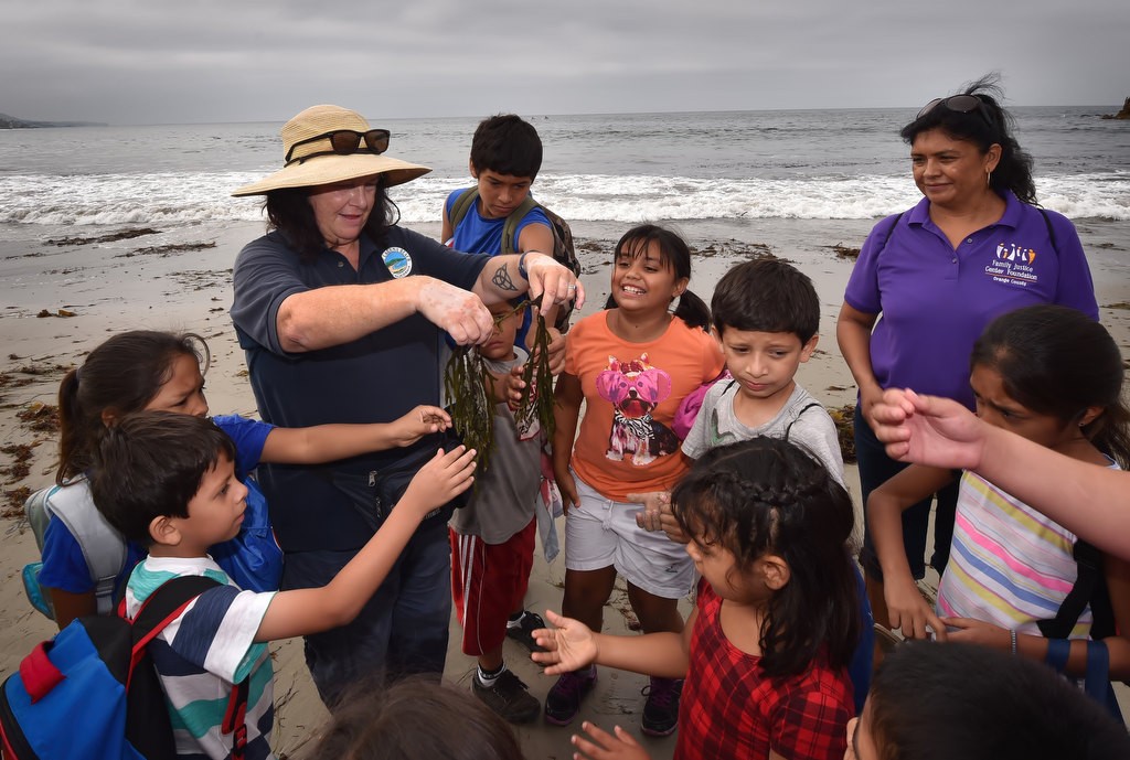 Laguna Beach’s Marine Safety Tide Pool Educator Amee Penso brings up a handful of seaweed for the kids to touch as she talks about the marine life at the Laguna Beach tide pools. Photo by Steven Georges/Behind the Badge OC