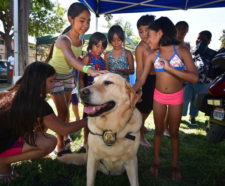 Kids gather around for their chance to pet Emerson, a comfort K9 with the La Habra PD, during the Cool Cops community outreach gathering at Montwood Park. Photo by Steven Georges/Behind the Badge OC