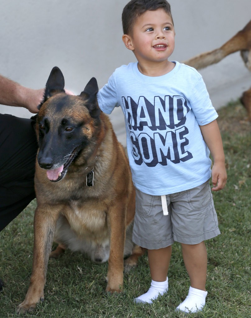 Fullerton PD K-9 Mueller poses for a photo with a young visitor during National Night Out at Independence Park. Mueller's handler is Jonathan Miller. Photo by Christine Cotter