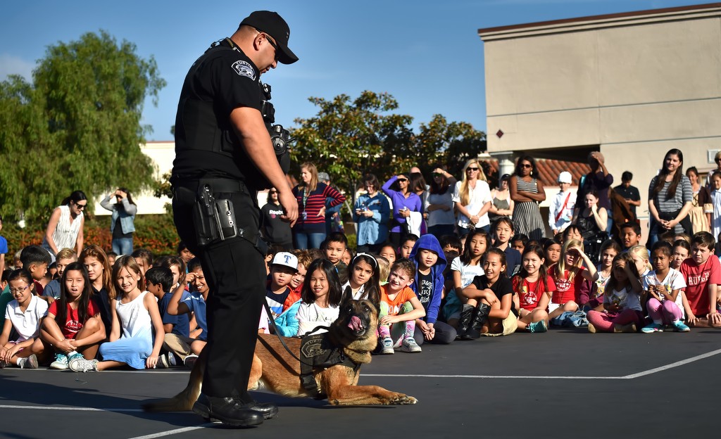 Tustin PD Officer Rene Barraza demonstrates his K-9 partner Bravo’s abilities to students from Peters Canyon Elementary in Tustin during a school assembly. Photo by Steven Georges/Behind the Badge OC