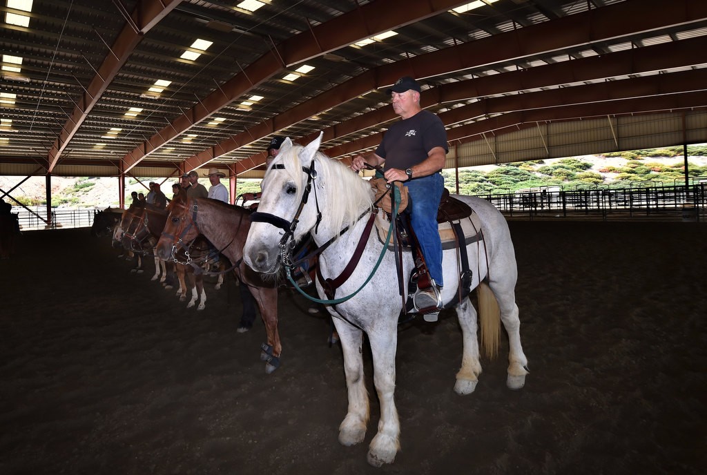 Clyde, a rescued Percheron horse now serving with the OC Sheriff Department with Lt. Doug Williams, trains with other mounted unit law enforcement horses at the George Ingalls Equestrian Event Center in Norco. Photo by Steven Georges/Behind the Badge OC