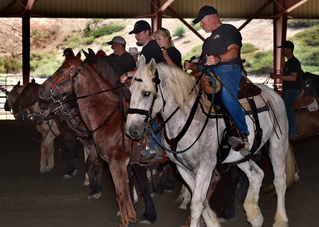 Clyde, a rescued Percheron horse now serving with the OC Sheriff Department, trains with other mounted unit law enforcement horses at the George Ingalls Equestrian Event Center in Norco.