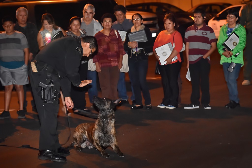 La Habra PD Officer Amsony Mondragon works with his K-9 partner, Renzo, during a demonstration for a Spanish speaking Citizens' Academy class. Photo by Steven Georges/Behind the Badge OC