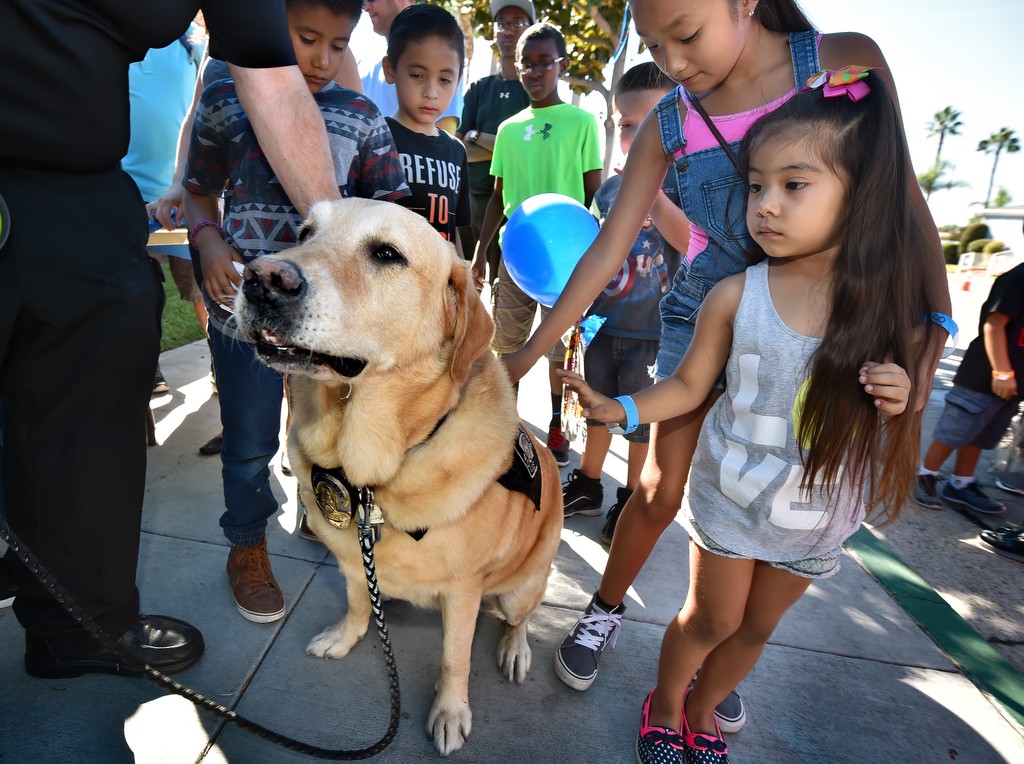 Emerson, a crisis K-9 with the La Habra PD, has his share of fans who want to come up and pet him during La Habra PD’s open house. Photo by Steven Georges/Behind the Badge OC