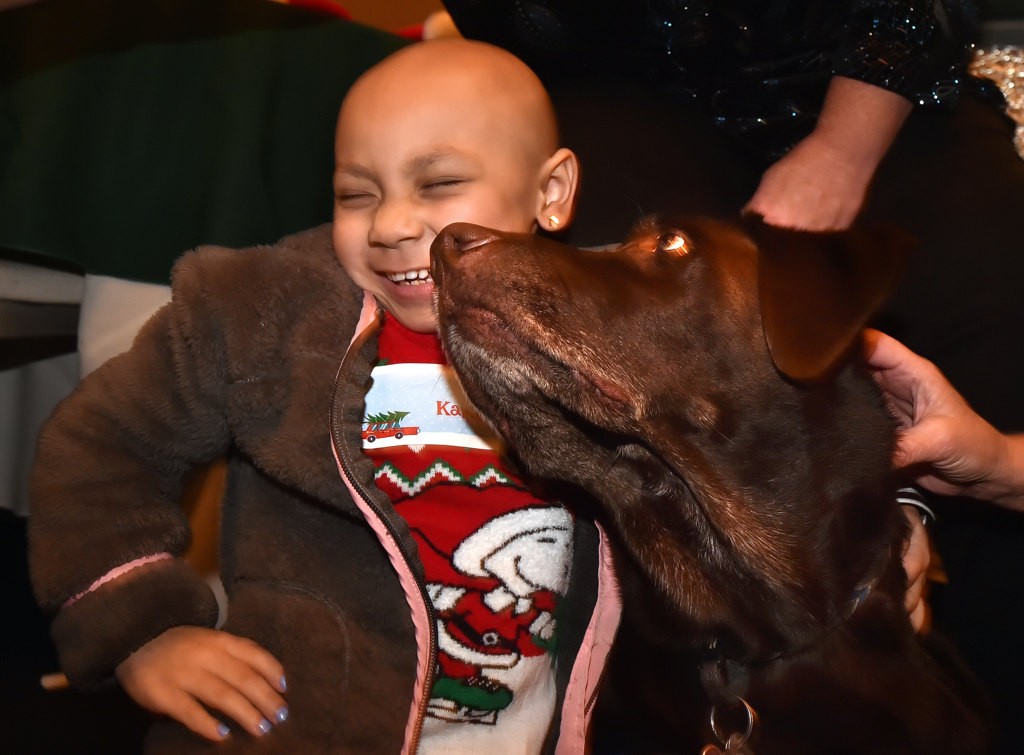 Four-year-old Kara Khamo gets cozy with Doc Barker a Chocolate Lab with Make A Wish, during their Holiday Harbor Cruise. Photo by Steven Georges/Behind the Badge OC