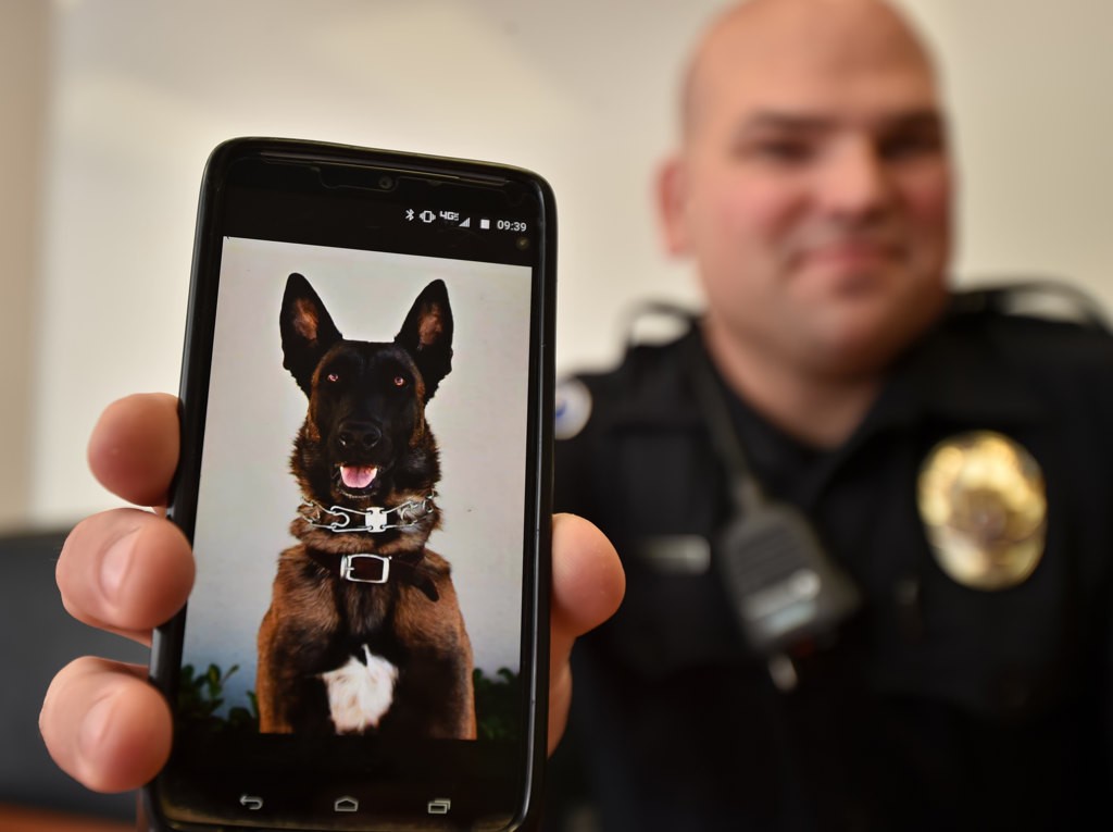 GGPD Officer Derek Link holds up a photo of Oznar, a Belgian Malinois he uses for a private company on his days off. Link says he would be interested in Garden Grove PD’s K-9 program should the opportunity arise. Photo by Steven Georges/Behind the Badge OC