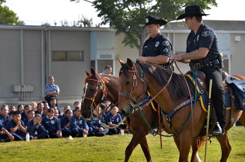 Officers Patrick Bradley, left, and his twin brother Matthew Bradley of the Anaheim Police Mounted Unit give a demonstration during the 2016 Anaheim PD Cops 4 Kids Jr. Cadet Academy. Photo by Steven Georges/Behind the Badge OC