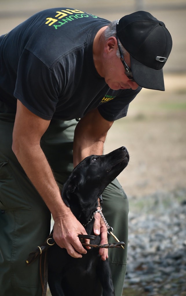 Reserve Capt. Chuck Williams with Cinder, a human remains detection K-9. Photo by Steven Georges/Behind the Badge OC