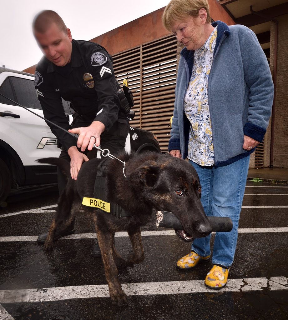 Garden Grove PD Cpl. John Bankson and Kay Parcell greet Vader, GGPD’s new K-9 assigned to Officer Edgar Valencia. (out of photo) Photo by Steven Georges/Behind the Badge OC