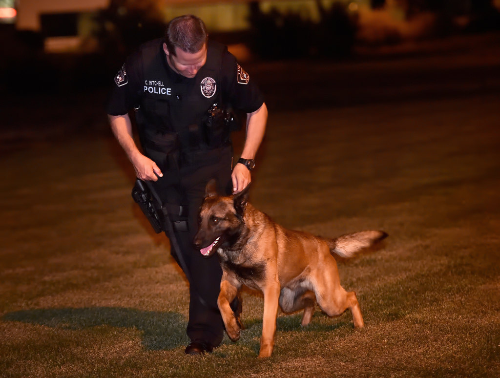 Tustin PD Officer Chuck Mitchell takes Kingsley to a park to stretch his legs, and pee, during Kingsley’s first patrol. Photo by Steven Georges/Behind the Badge OC