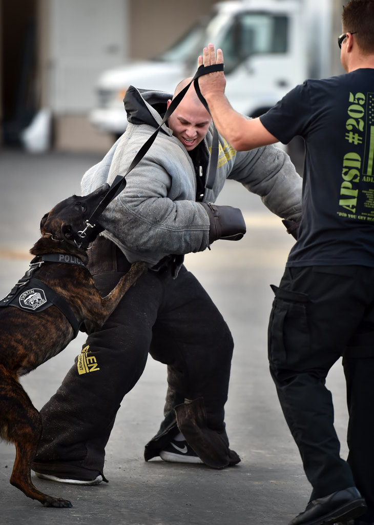 Tricity K9 training fosters learning among law enforcement agencies
